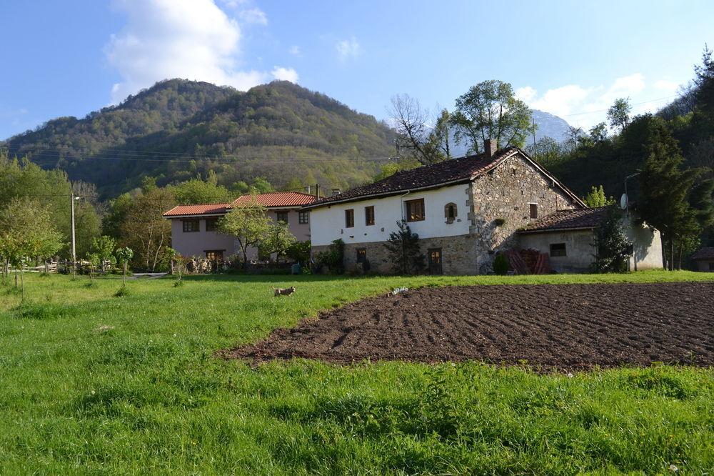 Alesga Hotel Rural - Valles Del Oso -Asturias San Salvador  Eksteriør billede