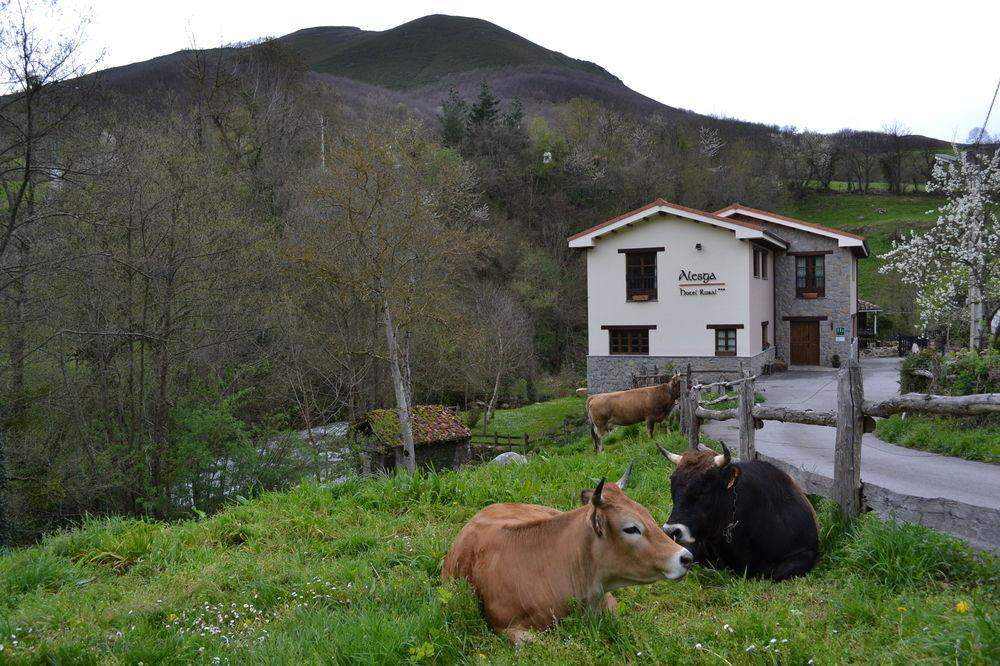 Alesga Hotel Rural - Valles Del Oso -Asturias San Salvador  Eksteriør billede