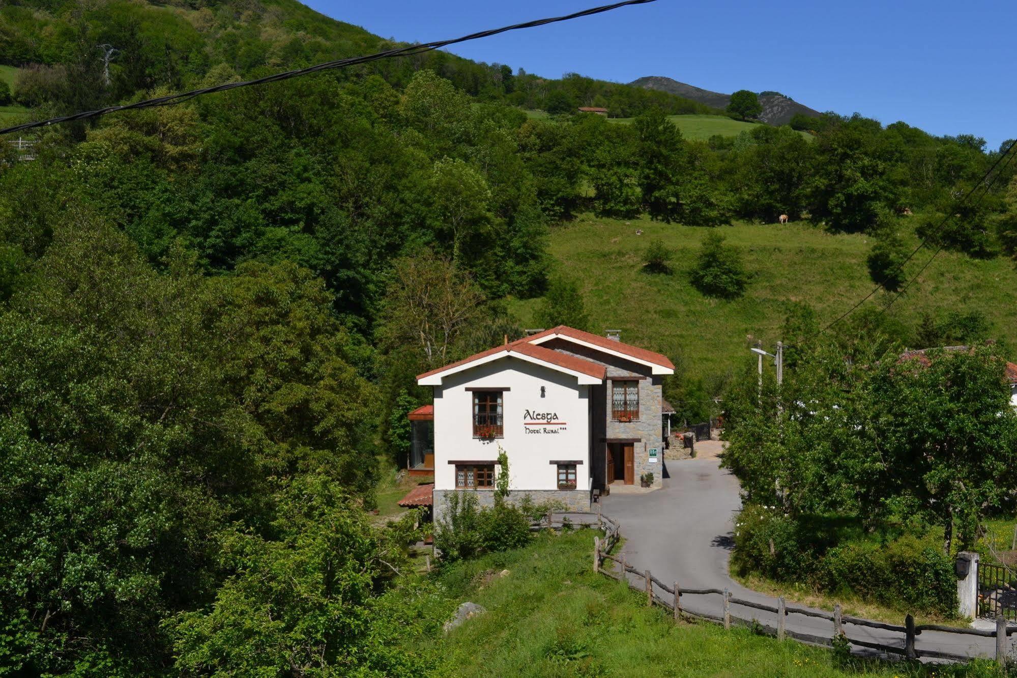 Alesga Hotel Rural - Valles Del Oso -Asturias San Salvador  Eksteriør billede