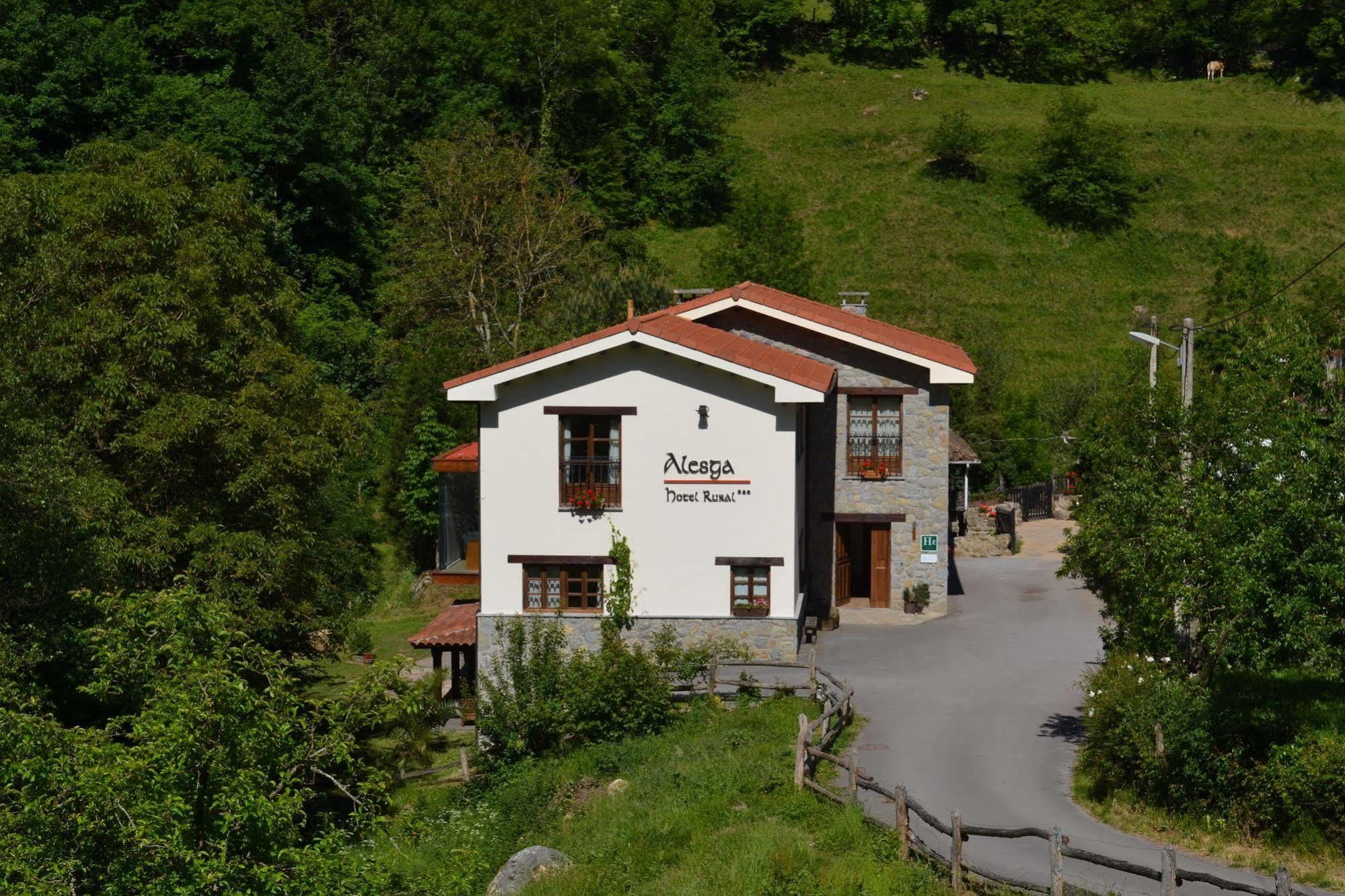 Alesga Hotel Rural - Valles Del Oso -Asturias San Salvador  Eksteriør billede